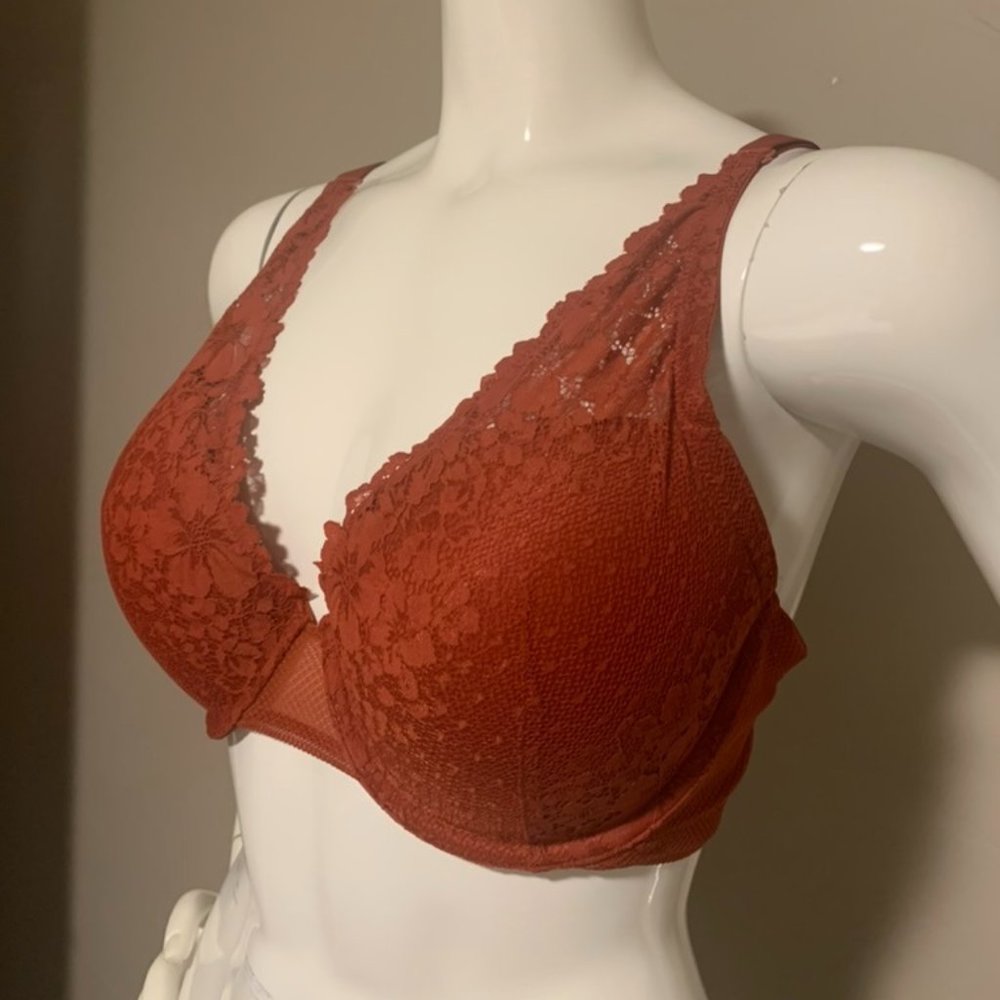 Auden Plunge Push Up - 40C